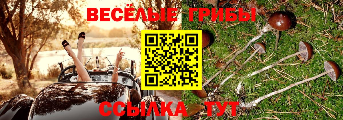 Псилоцибиновые грибы ЛСД Жигулёвск